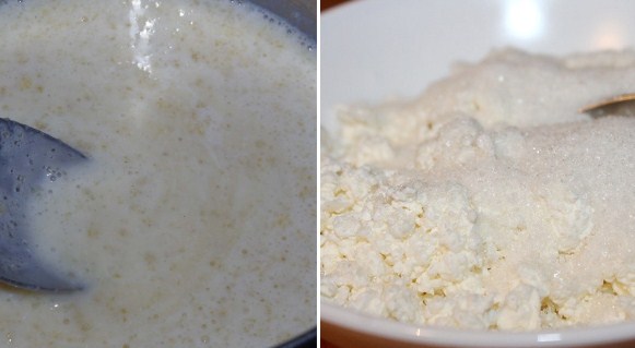 Бланманже, или Творожное желе с фруктами. Сказочный молочный десерт без выпечки!